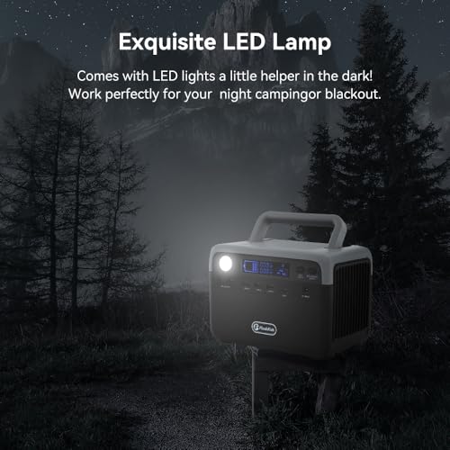 FF Flashfish Portable Power Station, 230Wh LiFePO4 Battery Pack, Solar Generator With 300W AC Output(Peak 600W), Backup Power Emergency Power Supply For Home, Camping, CPAP