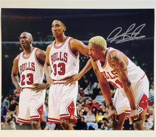 Dennis Rodman signed 16x20 photo autograph Pippen Jordan ~ Beckett BAS Witness - Autographed NBA Photos