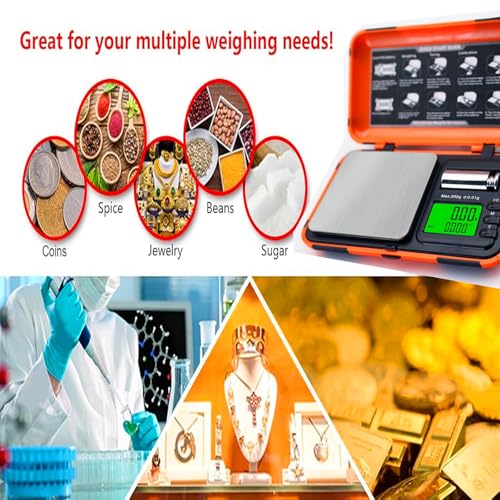 Digital Pocket Scale Precision 200g/0.01g with 50g Cal Weights,LCD Display Digital Scale Grams Ounces, Mini Jewelry Scale, Coins Scale for Gold/Silver/Gems/Food (Pocket Scale)