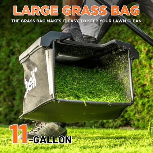 Litheli 40V (2 x 20V) 16" Electric Lawn Mower Cordless, Brushless Lawnmower with 6-Height Adjust, Portable & Lightweight Push Battery Powered Lawn Mower (2 * 4.0AH Batteries Included)