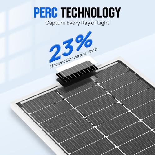 ECO-WORTHY 200 Watt Bifacial Solar Panel 2pcs 100 Watt Monocrystalline Solar Panel Module Off Grid PV Power for Home, Camping, Boat, Shed Farm, RV,12V/24V Battery