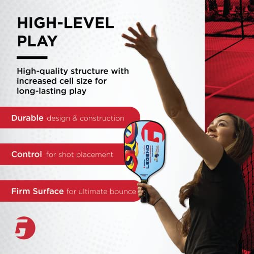 GAMMA Sports Shard NeuCore Pickleball Paddle, Graphite Power Surface and Honeycomb Grip, Extra Spin Shard