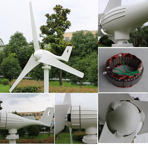 FLTXNY POWER 800W Wind Turbine 5 Blades 12V / 24V / 48V with MPPT Charge Controller for Home Boat Farm (24, Volts)