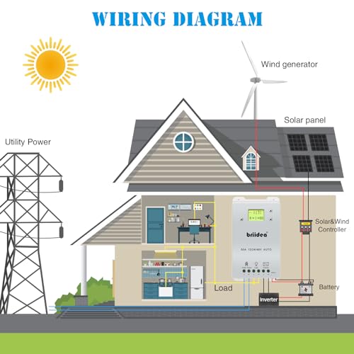 Automatic Transfer Switch, Briidea 50A 5500 Watt ATS Dual Power Controller for Off Grid Solar Wind Systems DC 12V 24V 48V AC 110V 220V