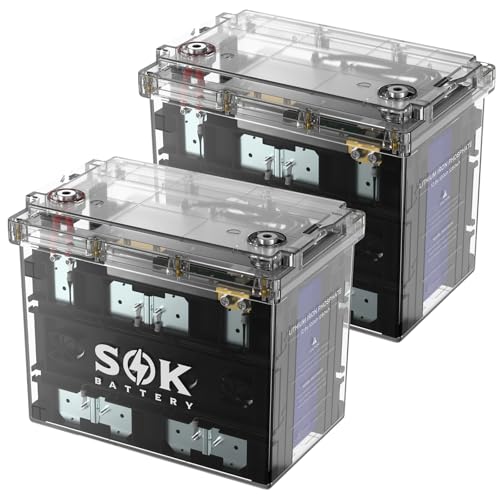 SOK Battery 12V 100Ah LiFePO4 Lithium Battery Marine Battery IP65 Waterproof Transparent Case, Built-in Smart BMS with Bluetooth, 4000-8000 Cycles for RV, Marine, Trolling Motor, Off-Grid (2Pack)