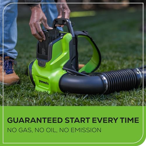 Greenworks 80V (750 CFM / 180 MPH) Brushless Backpack Leaf Blower, Variable Speed for Large Properties, Dislodge Gravel from driveways or Packed Snow from walkways, Includes 4.0Ah Battery and Charger
