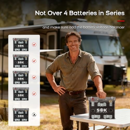 SOK Battery 12V 100Ah LiFePO4 Lithium Battery Marine Battery IP65 Waterproof Transparent Case, Built-in Smart BMS with Bluetooth, 4000-8000 Cycles for RV, Marine, Trolling Motor, Off-Grid (2Pack)