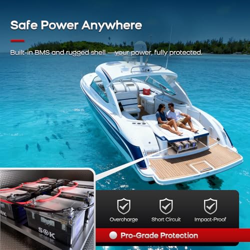 SOK Battery 12V 100Ah LiFePO4 Lithium Battery Marine Battery IP65 Waterproof Transparent Case, Built-in Smart BMS with Bluetooth, 4000-8000 Cycles for RV, Marine, Trolling Motor, Off-Grid (2Pack)