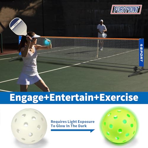 Furypiont 10 FT Mini Portable PickleballNet Equipment Set - Tennis Net for Driveway Backyard, 2 Pickleball Paddles, 8 Pickleballs and Potable Carry Bag,Pickleball Net for Beginner