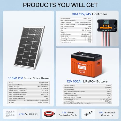 ECO-WORTHY 1.28KWH 200W RV Solar Panel Kit 12v 100ah lifepo4 Battery with Status Display, 2PCS 100W Bifacial Solar Panels,30A Controller with USB for Garden Home DC-Powered Appliances