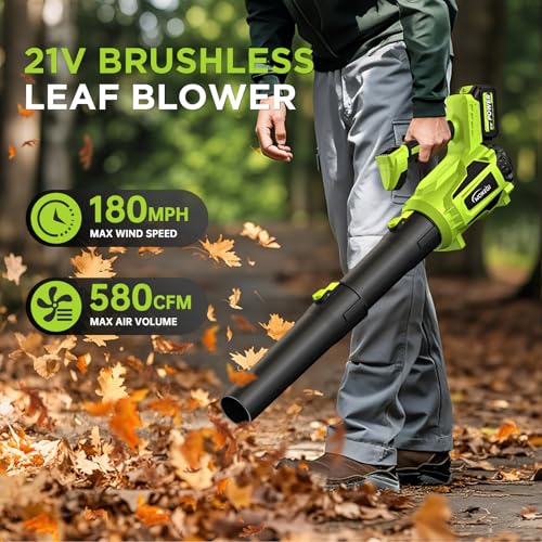 Leaf Blower Cordless, 580CFM Lightweight & Powerful Electric Handheld with 5+1 Speed Modes, Includes 2 Batteries & Fast Charger Kit for Lawn, Patio, Dust, Leaves, Car Drying and Light Snow