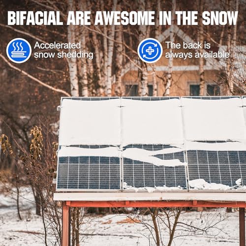 ECO-WORTHY 200 Watt Bifacial Solar Panel 2pcs 100 Watt Monocrystalline Solar Panel Module Off Grid PV Power for Home, Camping, Boat, Shed Farm, RV,12V/24V Battery