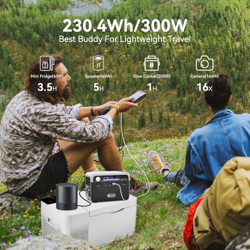 FF Flashfish Portable Power Station, 230Wh LiFePO4 Battery Pack, Solar Generator With 300W AC Output(Peak 600W), Backup Power Emergency Power Supply For Home, Camping, CPAP