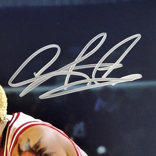 Dennis Rodman signed 16x20 photo autograph Pippen Jordan ~ Beckett BAS Witness - Autographed NBA Photos
