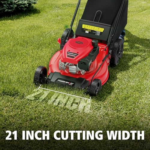 PowerSmart 21" 2-in-1 Push Lawn Mower, 144cc Engine, 3-in-1 with Bagging, High Wheels, Lightweight and Easy Assembly,Adjustable Cutting Height, Lightweight,for Garden Yard