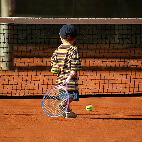 PIKASEN 17" Kids Tennis Racket Best Starter Kit for Kids Age 4 and Under with Shoulder Strap Bag and Mini Tennis Racket Toddler Tennis Raquet (Pink)