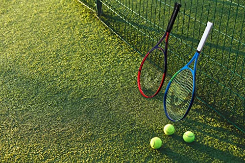 HEAD Ti. Reward Pre-Strung 27 in. Tennis Racquet