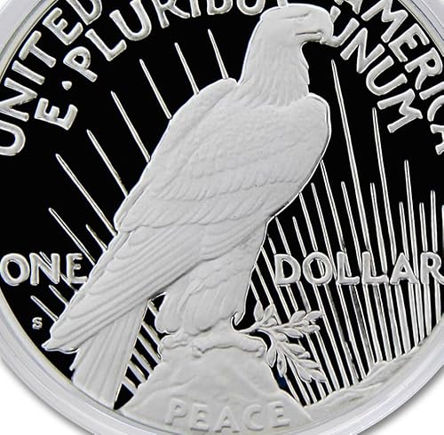 2023 American Silver Peace Proof Dollar Coin with Official Government Packaging and Certificate of Authenticity $1 PR