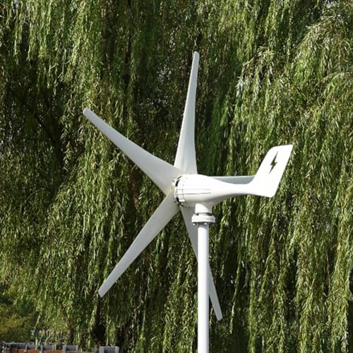 FLTXNY POWER 800W Wind Turbine 5 Blades 12V / 24V / 48V with MPPT Charge Controller for Home Boat Farm (24, Volts)