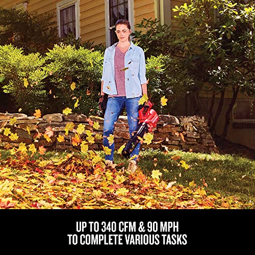 CRAFTSMAN 20V MAX WEEDWACKER String Trimmer and Leaf Blower Combo Kit, Battery and Charger Included (CMCK197M1)