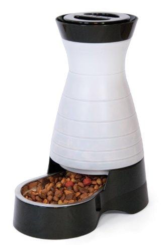 PetSafe Healthy Pet Gravity Dog and Cat Food Station, Stainless Steel Bowl, Holds 4 lbs of Dry Dog or Cat Food, Medium