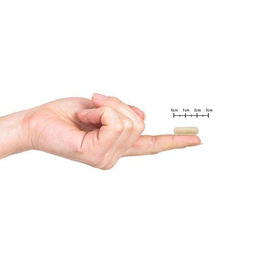 Vitamin Bounty Pro 50 Probiotic with Prebiotics - 13 Strains, 50 Billion CFU, for Gut and Digestive Health with Delayed Release EmbocapsTM & Fermented Greens