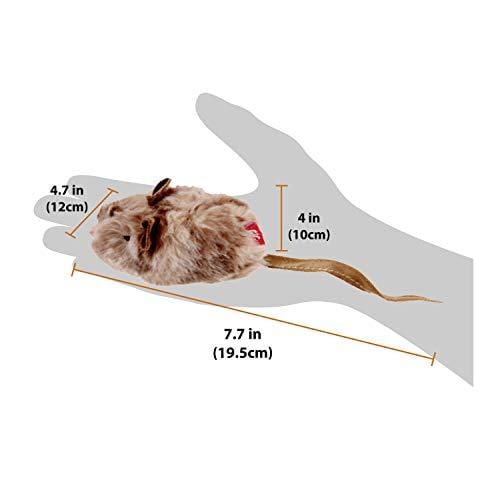Gigwi Chirpy Cat Mouse Toy Squeak- Cat Toys Interactive Squeaking Mouse Cat Toy Melody Chaser Play N Squeak Kitten Toy, Mouse Sound Cat Toy for Boredom - Ultra Pickleball