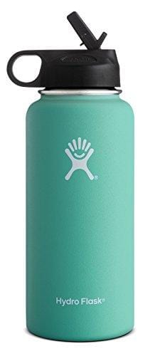 Hydro Flask Flamingo Wide Mouth Straw Lid Bottle, 1 EA