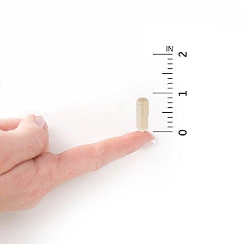 Garden of Life - Dr. Formulated Probiotics Mood+ - Acidophilus Probiotic Promotes Emotional Health, Relaxation, Digestive Balance - Gluten, Dairy, and Soy-Free - 60 Vegetarian Capsules