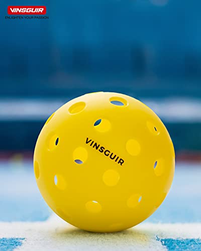 Vinsguir Pickleball Set, 8 Pack Pickleballs, USAPA Standard Pickle Balls, Pickleball Outdoor Balls, Competition Outdoor Pickle-Ball Balls, Paddle Balls for Outdoor Courts, with 2 Paddleball Mesh Net