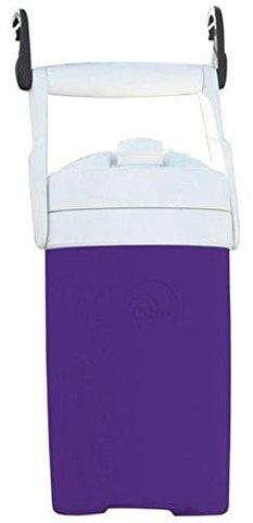 Igloo Sport Cooler with Hooks, Purple, 1/2 gal [product _type] Igloo - Ultra Pickleball - The Pickleball Paddle MegaStore