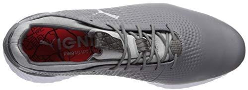 Puma Golf Men's Ignite Pwradapt Leather Golf Shoe, Quiet Shade Silver/Puma White, 13 M US