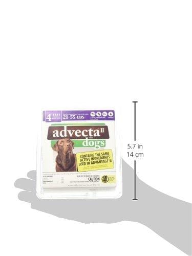 Advecta II Flea Treatment - Flea and Lice Prevention for Dogs, 4 Month Supply
