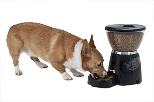 Aspen Pet Lebistro Programmable Cat and Dog Feeder 2 Sizes Black