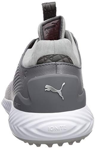Puma Golf Men's Ignite Pwradapt Leather Golf Shoe, Quiet Shade Silver/Puma White, 13 M US