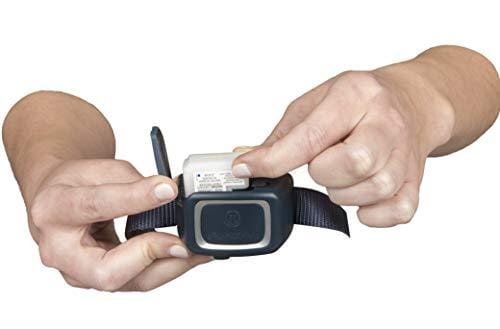 PetSafe Remote Spray Trainer, Training Collar and Remote for Dogs 8 lb. and Up, Water Resistant with Citronella Spray