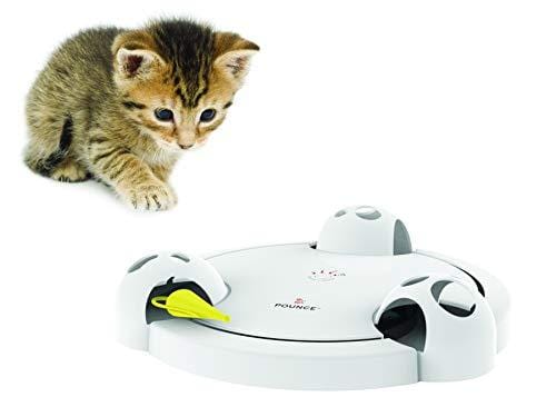 PetSafe Pounce Cat Toy, Interactive Automatic Toy for Cat or Kitten, Adjustable Electronic Battery Operated Toy