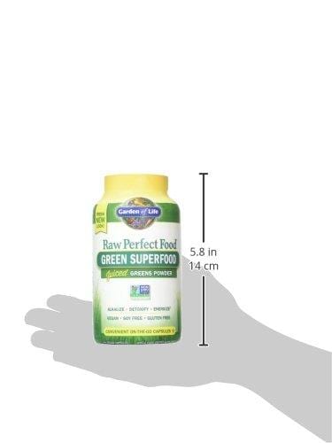 Garden of Life Raw Perfect Food Green Superfood Juiced Greens Powder Capsules - 30 Servings, Non-GMO, Gluten Free, Vegan Whole Food Dietary Supplement, Organic Greens, Juice Sprouts Probiotics, 240ct