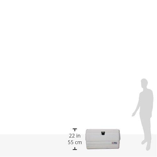Igloo Marine Ultra Cooler (White, 72-Quart) [product _type] Igloo - Ultra Pickleball - The Pickleball Paddle MegaStore