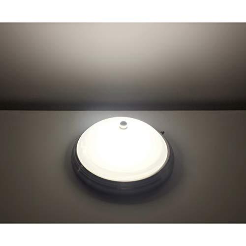 Dream Lighting 12volt DC LED Glass Ceiling Light Fixture for RV Boat Trailer Interior Decor, Round Overhead Light Roof Dome Light with Switch -Bright Warm White, 9.6 inch / 245mm