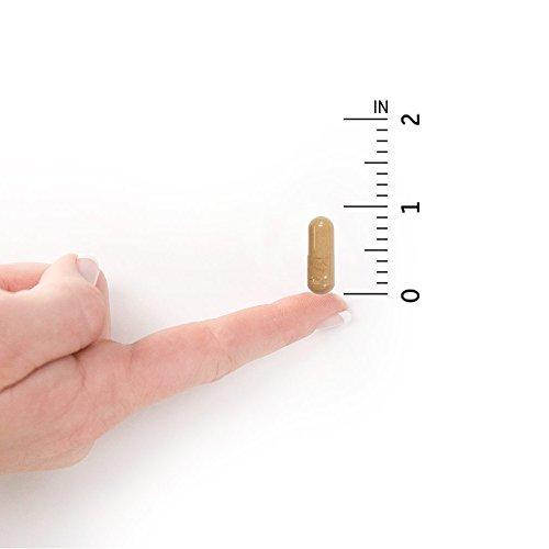 Garden of Life RAW Probiotics Ultimate Care Shelf Stable - 100 Billion CFU Guaranteed through Expiration, Once Daily - Certified Non-GMO & Gluten Free - No Refrigeration - 30 Vegetarian Capsules