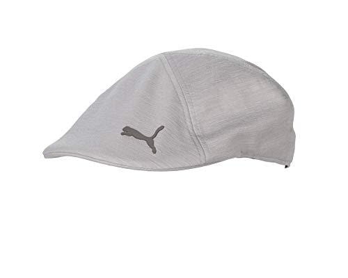 Puma Golf 2019 Men's Driver Cap (Quarry, L/XL)