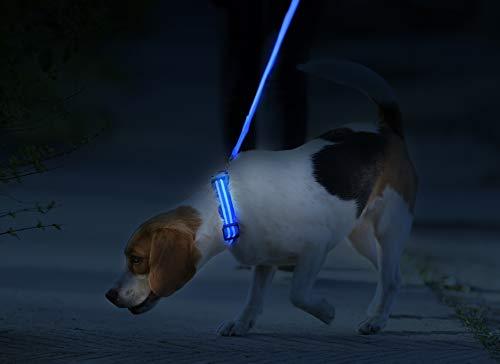 LED Dog Collar - USB Rechargeable - Available in 6 Colors & 6 Sizes - Makes Your Dog Visible, Safe & Seen