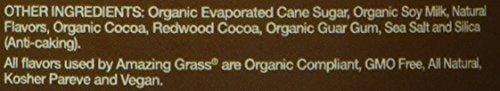 Amazing Grass, Organic Vegan Kids Superfood Powder with 30+ fruits & Super Greens, Flavor: Outrageous Chocolate, 30 Servings