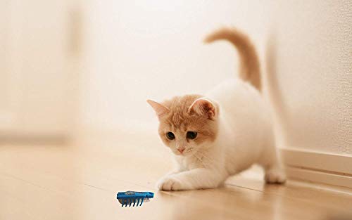OUZIFISH Nano Robot Bug Cat Toys 2-Pack Electronic Interactive Toy Navigates Around Corner Keeps Indoor Cat Chasing Hunting, Battery Included - Plays Like a Real Bug