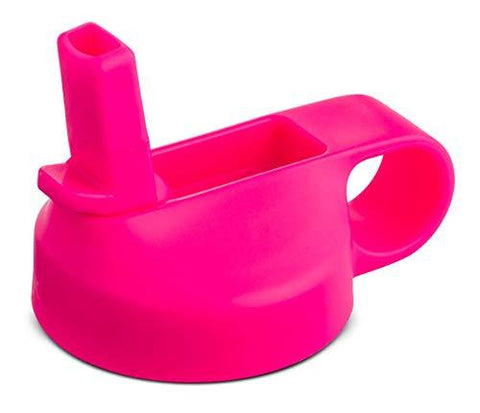 Hydro Flask Flamingo Wide Mouth Straw Lid Bottle, 1 EA