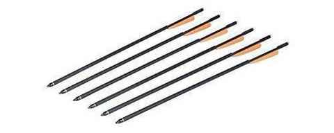 CenterPoint AXCCA206PK 20 inch Carbon Crossbow Arrows - 6pk 425 gram
