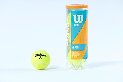 Wilson Prime All Court Tennis Ball 3 Ball Can