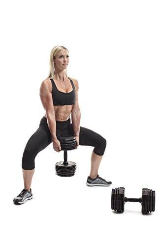 NordicTrack Speed Weights