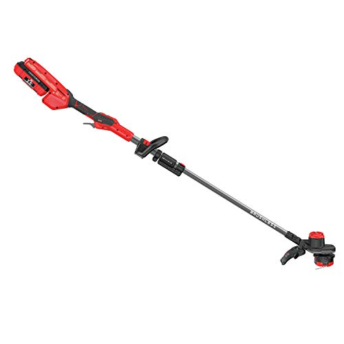 CRAFTSMAN V60 WEEDWACKER String Trimmer & Edger (CMCST960E1)